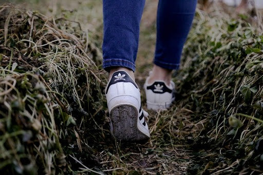Can a Simple Walk Really Help You Lose Weight?