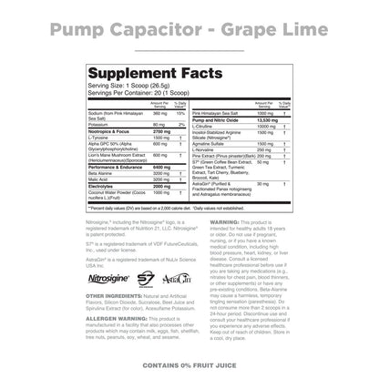 Pump Capacitor